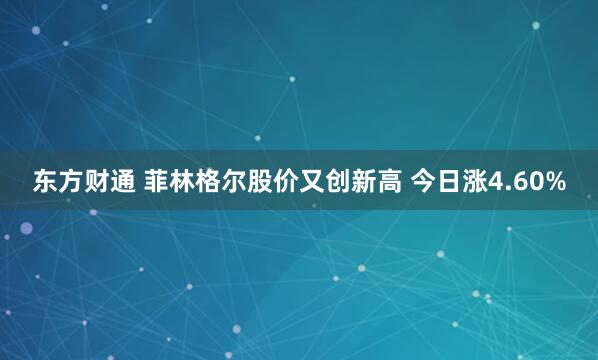 东方财通 菲林格尔股价又创新高 今日涨4.60%