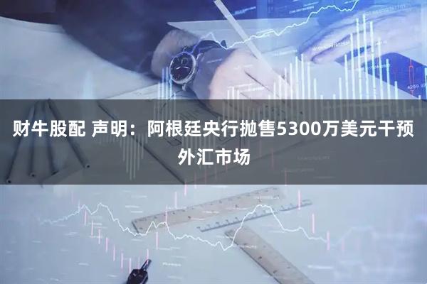 财牛股配 声明：阿根廷央行抛售5300万美元干预外汇市场